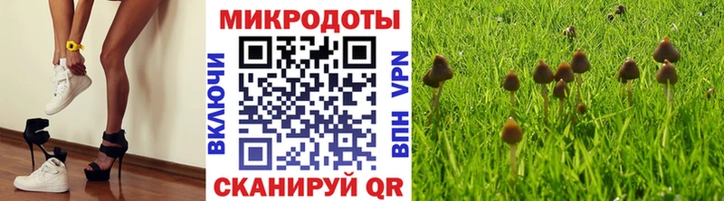 Галлюциногенные грибы ЛСД  Городовиковск 